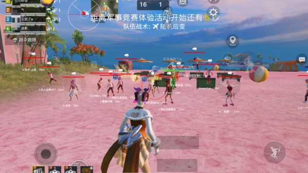 和平精英「小提琴」直装辅助